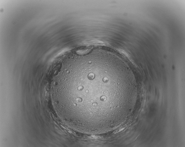 X0000060761063200511171142