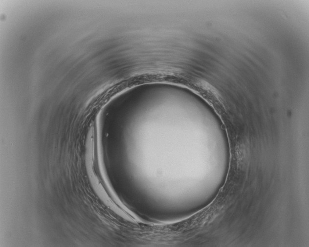 X0000060761064200511171142