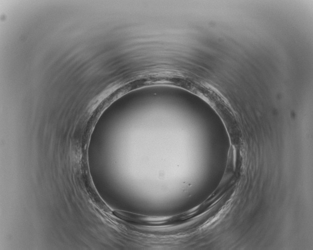 X0000060761065200511171142