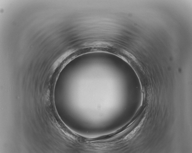 X0000060761066200511171142