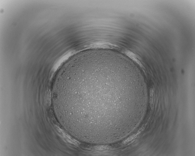 X0000060761067200511171142