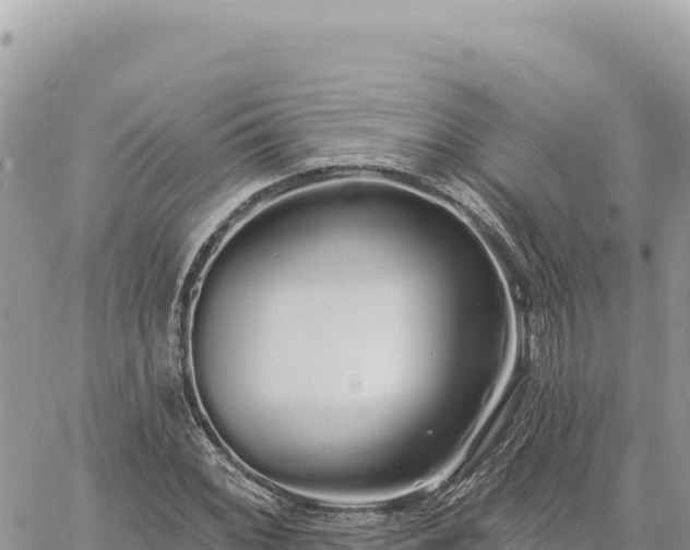 X0000060761068200511171142