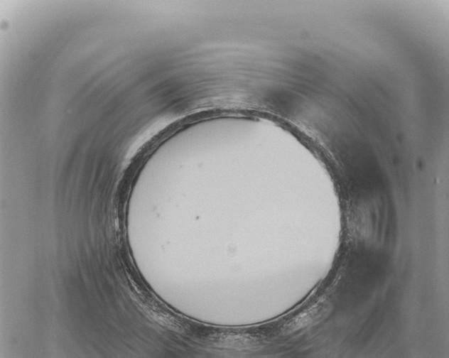 X0000060761070200511171142