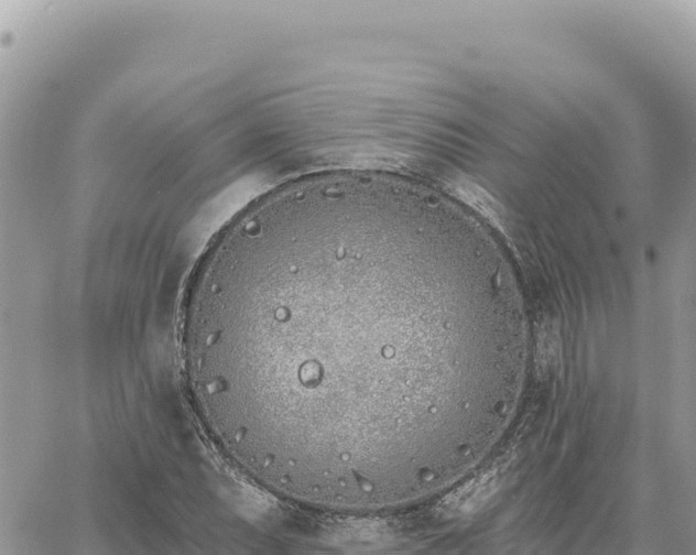 X0000060761071200511171142