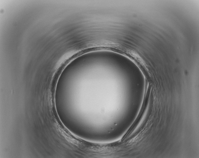 X0000060761072200511171142