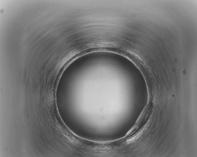 X0000060761073200511171142