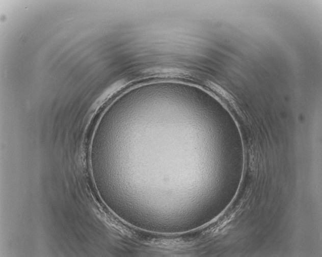 X0000060761074200511171142