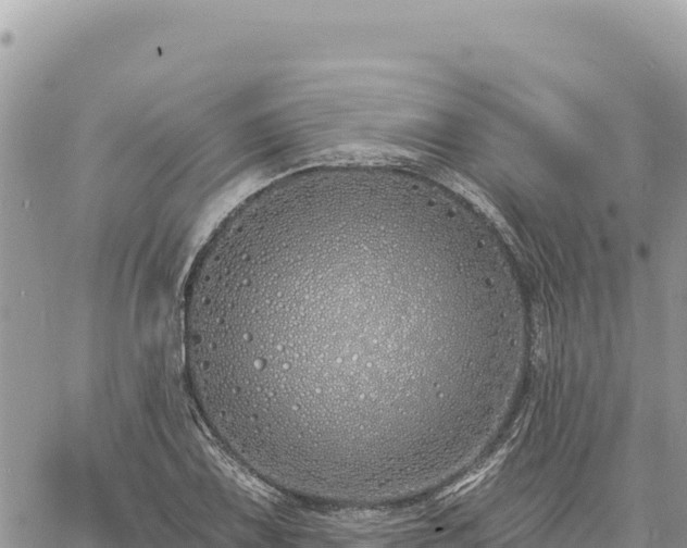 X0000060761075200511171142