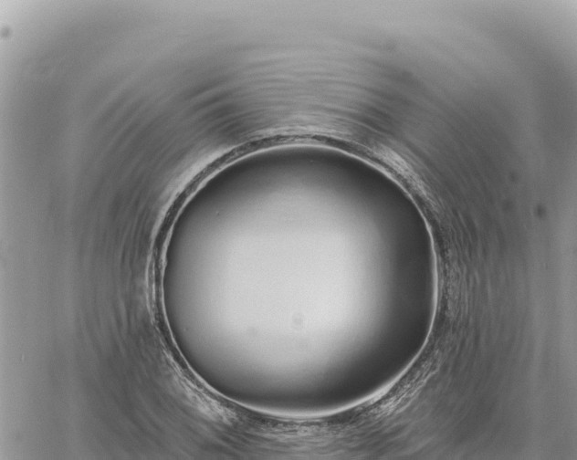 X0000060761076200511171142