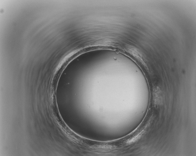 X0000060761077200511171142