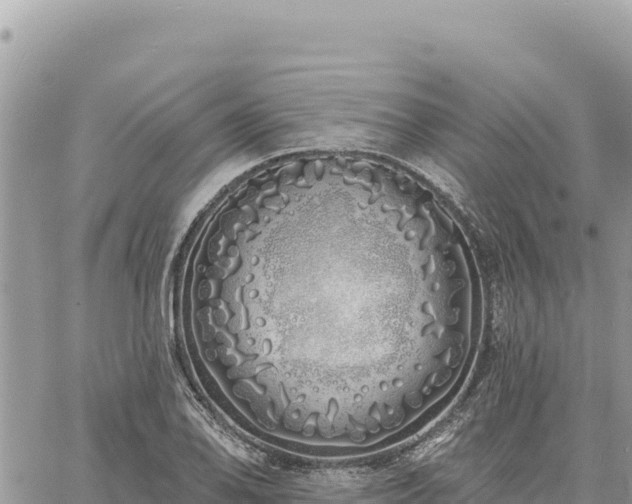 X0000060761078200511171142