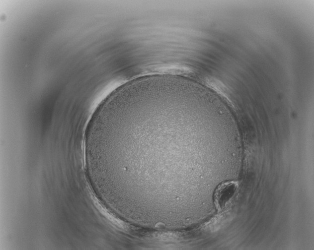 X0000060761079200511171142