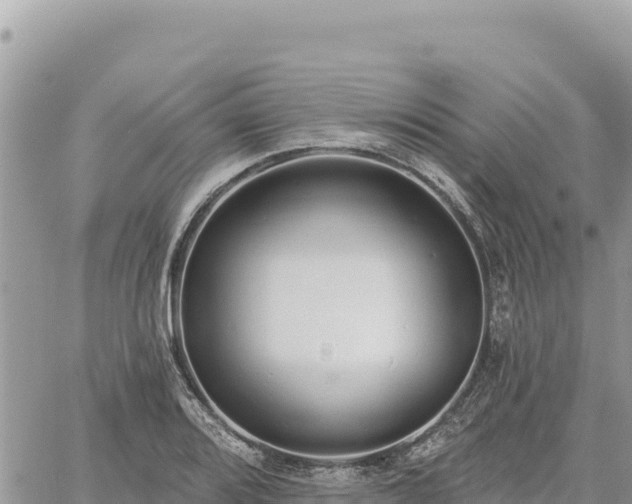 X0000060761080200511171142