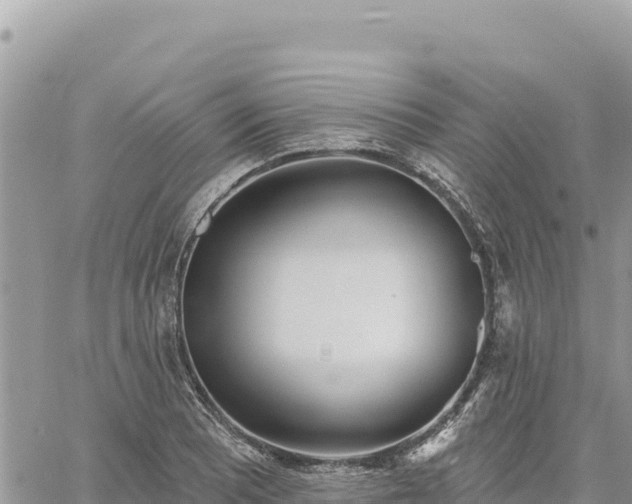 X0000060761081200511171142