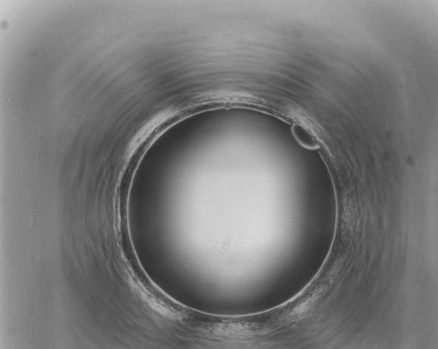 X0000060761082200511171142