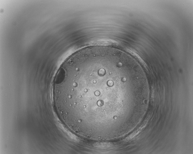 X0000060761083200511171142