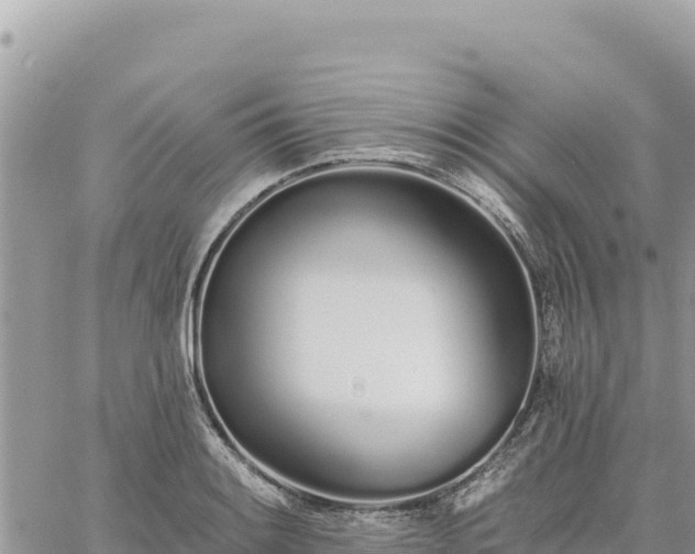 X0000060761084200511171142