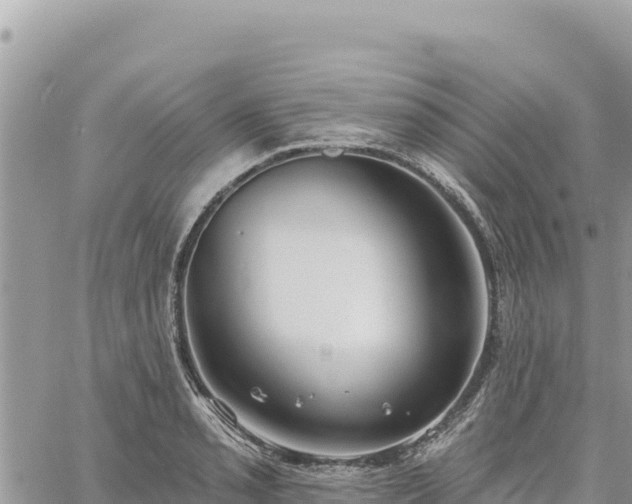 X0000060761085200511171142