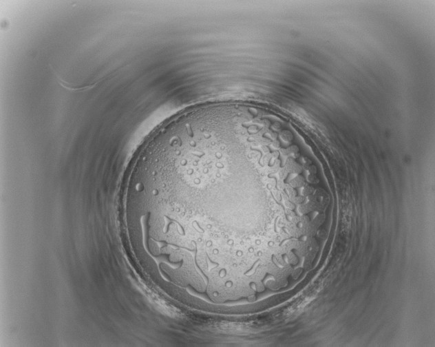 X0000060761086200511171142