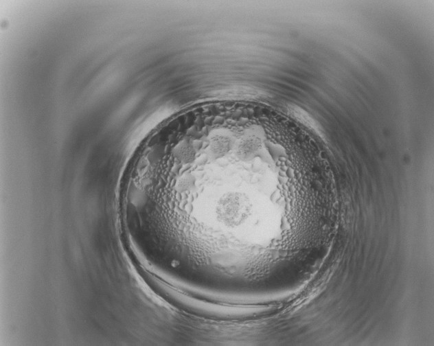 X0000060761087200511171142