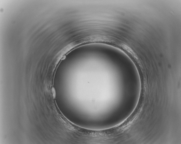 X0000060761089200511171142