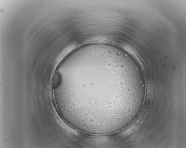 X0000060761090200511171142