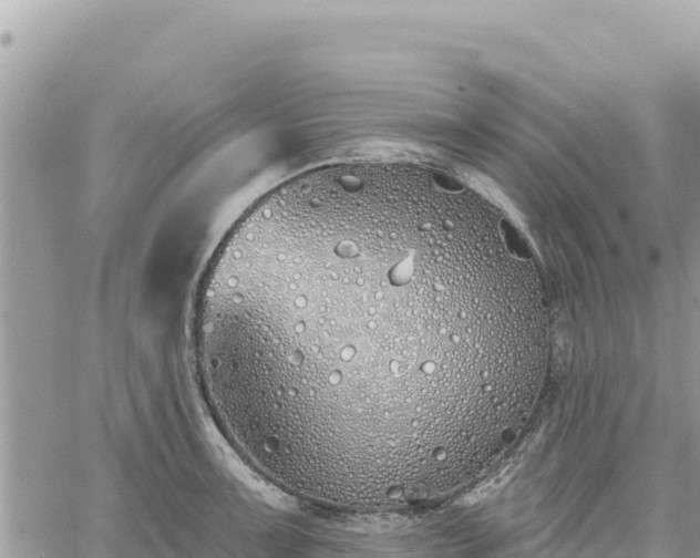 X0000060761091200511171142