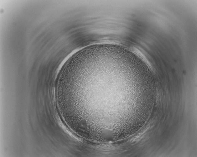 X0000060761092200511171142