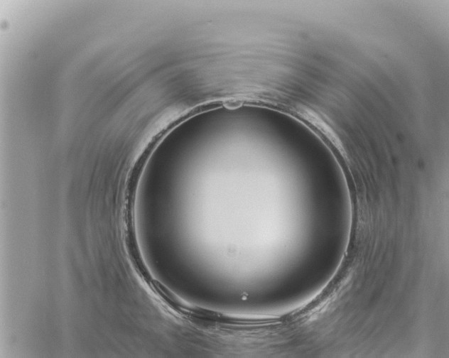 X0000060761093200511171142