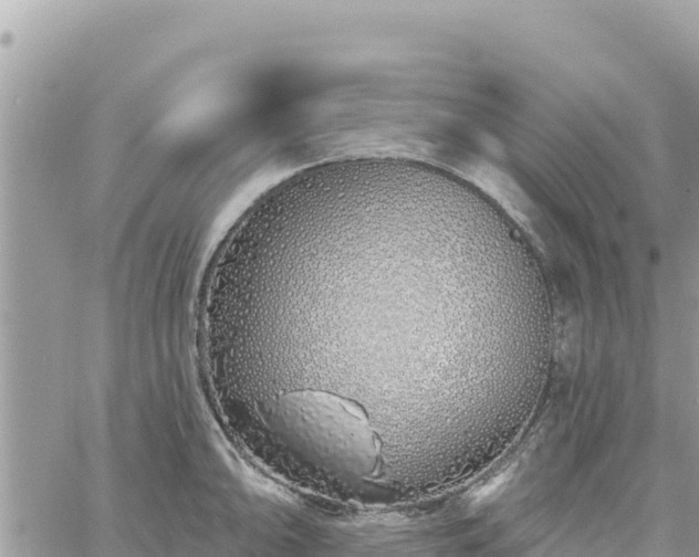 X0000060761094200511171142