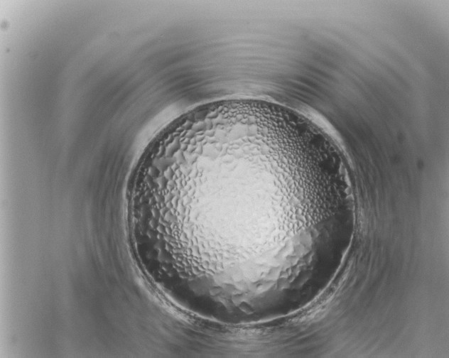 X0000060761096200511171142