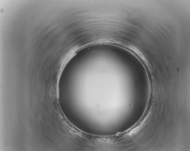 X0000060761097200511171142