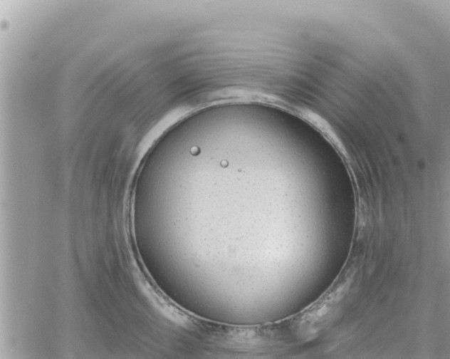 X0000060761098200511171141