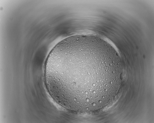 X0000060761099200511171141