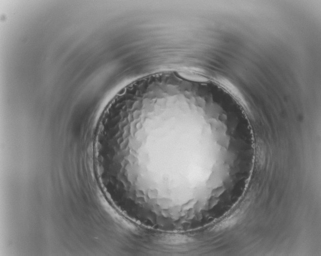 X0000060761100200511171141