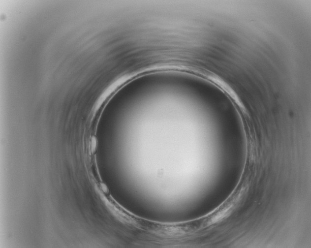 X0000060761101200511171141