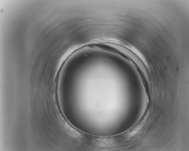 X0000060761102200511171141