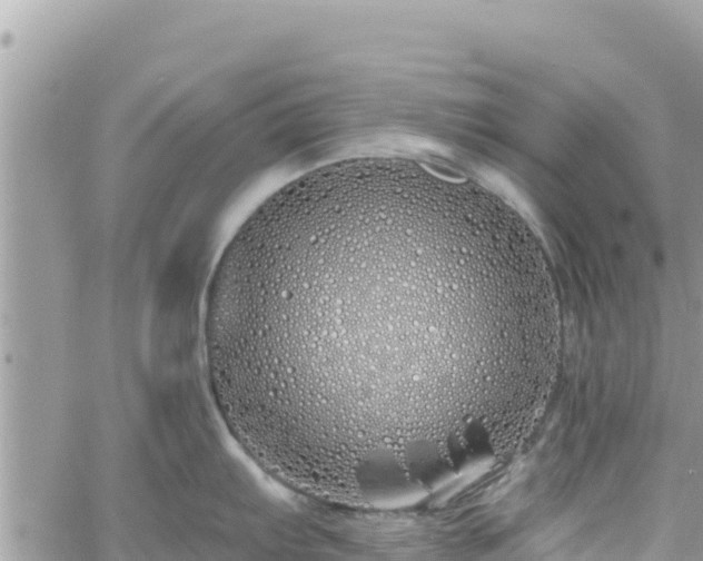 X0000060761103200511171141