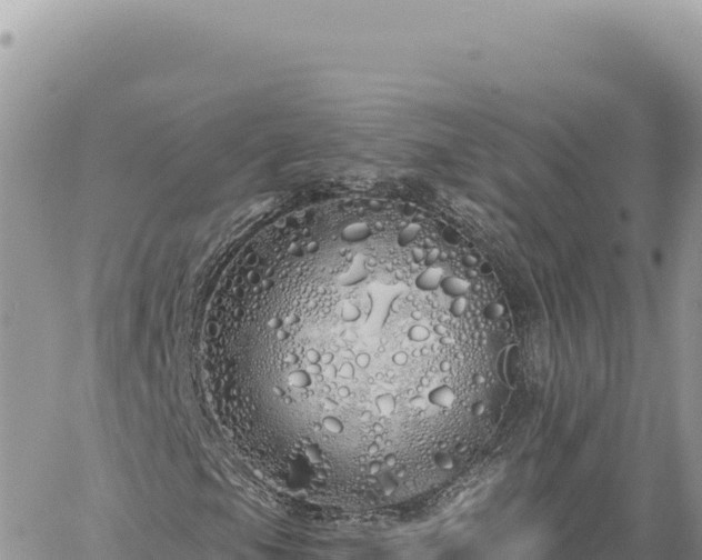 X0000060761105200511171141