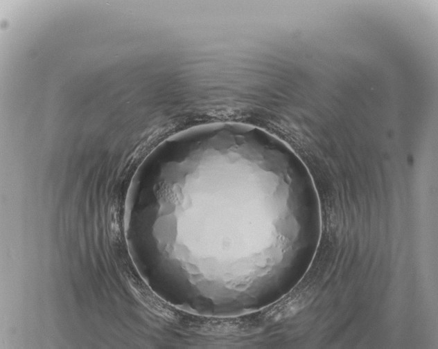 X0000060761106200511171141