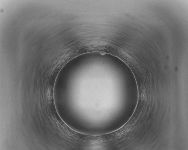 X0000060761108200511171141