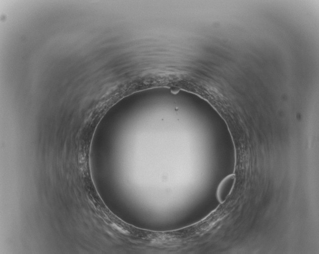 X0000060761109200511171141