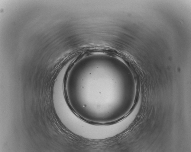 X0000060761110200511171141