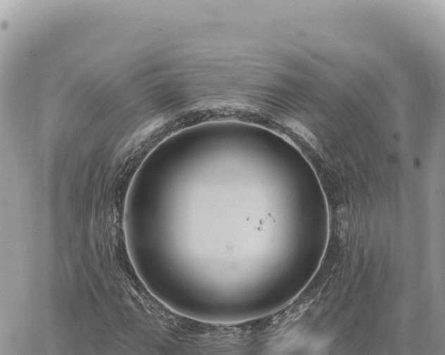 X0000060761111200511171141