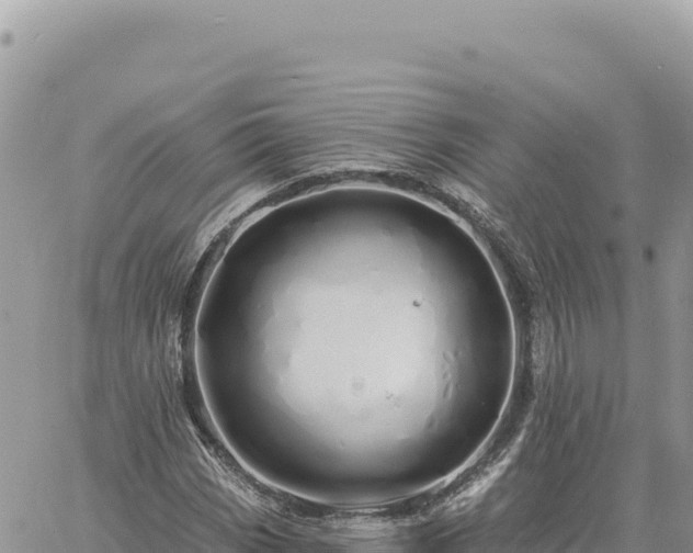 X0000060761113200511171141