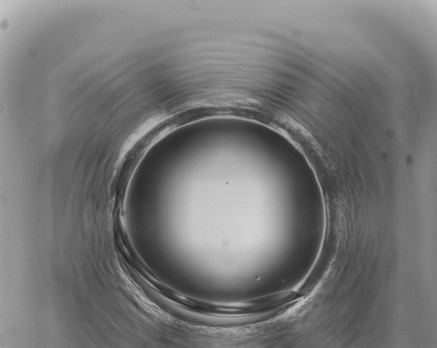 X0000060761114200511171141