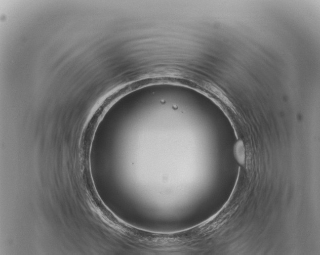 X0000060761116200511171141