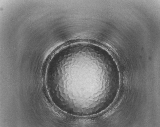 X0000060761117200511171141