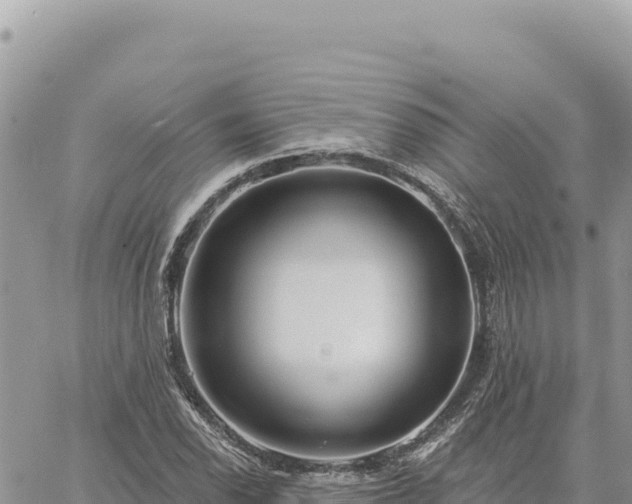 X0000060761118200511171141