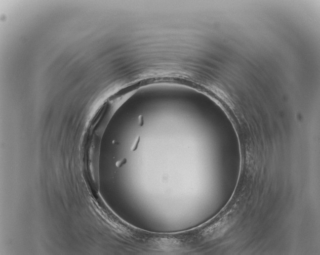 X0000060761119200511171141